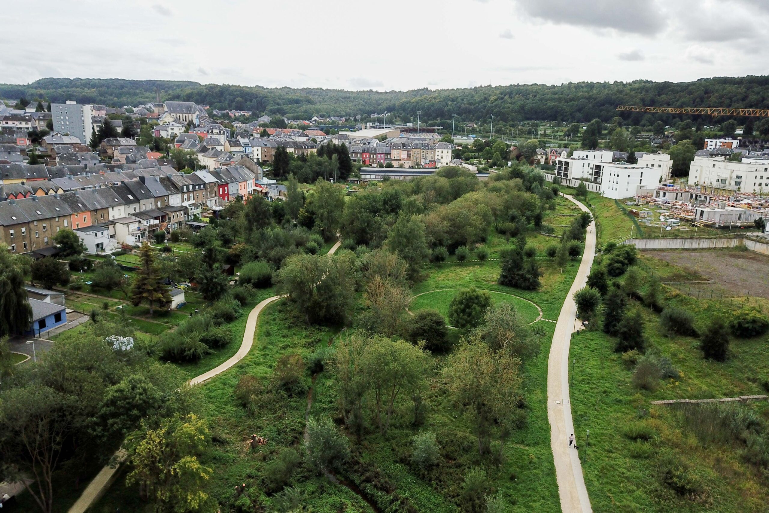 Header_remerciements